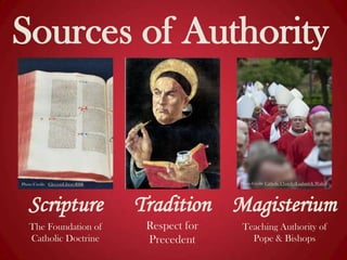 Sources of Authority

Photo Credit: Catholic Church (England & Wales)

Photo Credit: GleesonLibraryRBR

Scripture
The Foundation of
Catholic Doctrine

Tradition Magisterium
Respect for
Precedent

Teaching Authority of
Pope & Bishops

 
