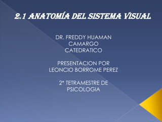 2.1 ANATOMÍA DEL SISTEMA VISUAL
DR. FREDDY HUAMAN
CAMARGO
CATEDRATICO
PRESENTACION POR
LEONCIO BORROME PEREZ
2* TETRAMESTRE DE
PSICOLOGIA

 