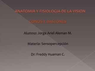 CONOS Y BASTONES
Alumno: Jorge Ariel Aleman M.
Materia: Sensopercepción
Dr: Freddy Huaman C.

 
