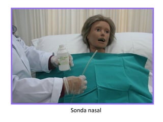 Sonda nasal