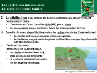 Les cycles des nutriments:
Le cycle de l’azote (suite)

2. La nitrification a lieu lorsque des bactéries nitrifiantes du sol convertissent
l’ammonium en nitrate.



3.

L’ammonium est d’abord converti en nitrite (NO2–), puis en nitrate.
Des décomposeurs peuvent aussi libérer l’azote des animaux morts et de l’urée.

Quand le nitrate est disponible, il entre dans les racines des plantes (l’assimilation)



•

Les nitrates sont incorporés dans les protéines des plantes.
Les herbivores mangent ensuite les plantes et utilisent leur azote pour la synthèse de leu
ADN et de leurs protéines.

L’azote est retourné à
l’atmosphère via la dénitrification.



Les nitrates sont convertissent en N2
grâce à des bactéries dénitrifiants.
Le N2 retourne aussi dans l’atmosphère
lors des éruptions volcaniques.

Voir page 80

(c) McGraw Hill Ryerson 2007

 