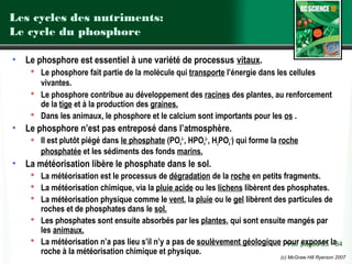 Les cycles des nutriments:
Le cycle du phosphore
•

Le phosphore est essentiel à une variété de processus vitaux.
 Le phosphore fait partie de la molécule qui transporte l’énergie dans les cellules
vivantes.
 Le phosphore contribue au développement des racines des plantes, au renforcement
de la tige et à la production des graines.
 Dans les animaux, le phosphore et le calcium sont importants pour les os .

•

Le phosphore n’est pas entreposé dans l’atmosphère.
 Il est plutôt piégé dans le phosphate (PO43–, HPO42–, H2PO4–) qui forme la roche
phosphatée et les sédiments des fonds marins.

•

La météorisation libère le phosphate dans le sol.
 La météorisation est le processus de dégradation de la roche en petits fragments.
 La météorisation chimique, via la pluie acide ou les lichens libèrent des phosphates.
 La météorisation physique comme le vent, la pluie ou le gel libèrent des particules de
roches et de phosphates dans le sol.
 Les phosphates sont ensuite absorbés par les plantes, qui sont ensuite mangés par
les animaux.
 La météorisation n’a pas lieu s’il n’y a pas de soulèvement géologique pour pages 83 la84
Voir exposer roche à la météorisation chimique et physique.

(c) McGraw Hill Ryerson 2007

 
