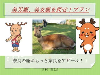 奈良の鹿がもっと奈良をアピール！！
片桐 新之介

 