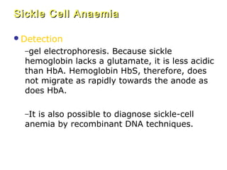 Sickle Cell Anaemia
Detection
–gel electrophoresis. Because sickle

hemoglobin lacks a glutamate, it is less acidic
than HbA. Hemoglobin HbS, therefore, does
not migrate as rapidly towards the anode as
does HbA.
–It is also possible to diagnose sickle-cell

anemia by recombinant DNA techniques.

 