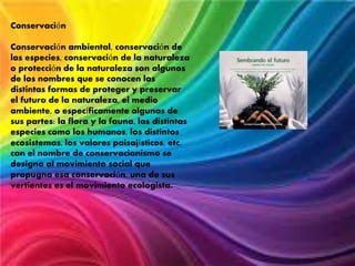Conservación
Conservación ambiental, conservación de
las especies, conservación de la naturaleza
o protección de la naturaleza son algunos
de los nombres que se conocen las
distintas formas de proteger y preservar
el futuro de la naturaleza, el medio
ambiente, o específicamente algunas de
sus partes: la flora y la fauna, las distintas
especies como los humanos, los distintos
ecosistemas, los valores paisajísticos, etc.
con el nombre de conservacionismo se
designa al movimiento social que
propugna esa conservación. una de sus
vertientes es el movimiento ecologista.

 