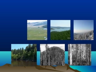 Монгол орны байгалийн бүс | PPT