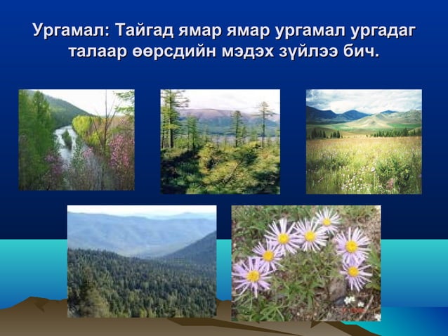 Монгол орны байгалийн бүс