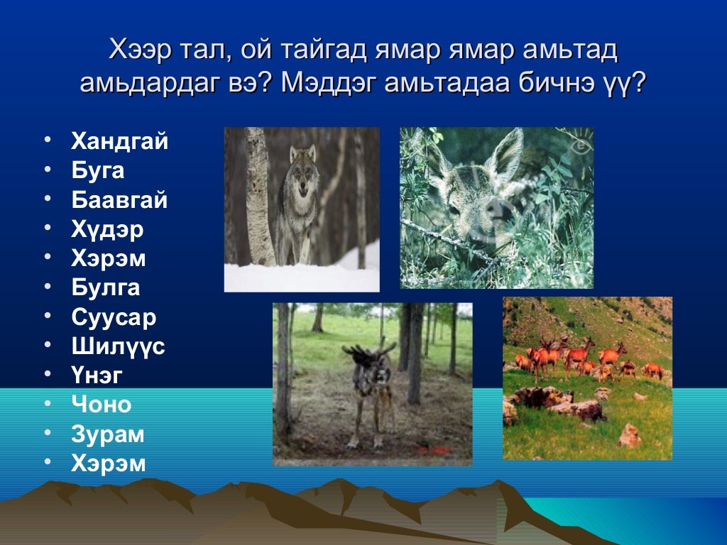 Монгол орны байгалийн бүс