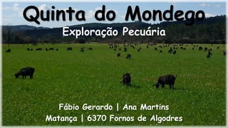 Quinta do Mondego
Exploração Pecuária
Fábio Gerardo | Ana Martins
963144095 | q.mondego@gmail.com
Matança | 6370 Fornos de Algodres
 