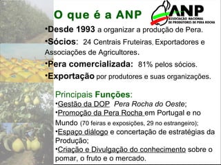 •Desde 1993 a organizar a produção de Pera.
•Sócios: 24 Centrais Fruteiras, Exportadores e
Associações de Agricultores.
•Pera comercializada: 81% pelos sócios.
•Exportação por produtores e suas organizações.
O que é a ANP
Principais Funções:
•Gestão da DOP Pera Rocha do Oeste;
•Promoção da Pera Rocha em Portugal e no
Mundo (70 feiras e exposições, 29 no estrangeiro);
•Espaço diálogo e concertação de estratégias da
Produção;
•Criação e Divulgação do conhecimento sobre o
pomar, o fruto e o mercado.
 