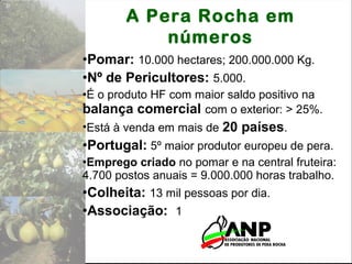 •Pomar: 10.000 hectares; 200.000.000 Kg.
•Nº de Pericultores: 5.000.
•É o produto HF com maior saldo positivo na
balança comercial com o exterior: > 25%.
•Está à venda em mais de 20 países.
•Portugal: 5º maior produtor europeu de pera.
•Emprego criado no pomar e na central fruteira:
4.700 postos anuais = 9.000.000 horas trabalho.
•Colheita: 13 mil pessoas por dia.
•Associação: 1
A Pera Rocha em
números
 