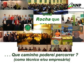 Uma
Rocha que
nos une
. . . Que caminho poderei percorrer ?
(como técnico e/ou empresário)
 