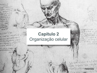 Capítulo 2
Organização celular
 