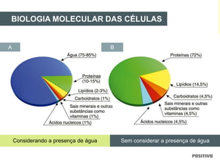 BIOLOGIA MOLECULAR DAS CÉLULAS
Considerando a presença de água Sem considerar a presença de água
BA
 