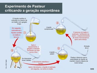 Experimento de Pasteur
criticando a geração espontânea
Divo,2006.Digital
Em seguida,
submete-se o
líquido contido
no balão à
fervura.
 