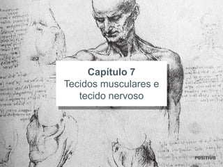 Capítulo 7
Tecidos musculares e
tecido nervoso
 