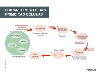 O APARECIMENTO DAS
PRIMEIRAS CÉLULAS
Divo,2010.3D.
 