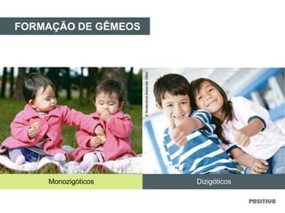 FORMAÇÃO DE GÊMEOS
Monozigóticos Dizigóticos
©Shutterstock/AlexanderGitlits
 