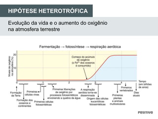 Evolução da vida e o aumento do oxigênio
na atmosfera terrestre
HIPÓTESE HETEROTRÓFICA
Fermentação → fotossíntese → respiração aeróbica
 