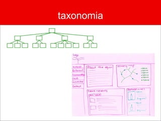 taxonomia
 