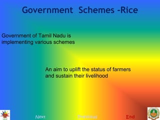 Government Schemes -Rice
Next Previous End
Government of Tamil Nadu is
implementing various schemes
An aim to uplift the status of farmers
and sustain their livelihood
 