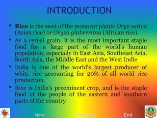 INTRODUCTION
 Rice is the seed of the monocot plants Oryz sativa
(Asian rice) or Oryza glaberrima (African rice).
 As a cereal grain, it is the most important staple
food for a large part of the world's human
population, especially in East Asia, Southeast Asia,
South Asia, the Middle East and the West Indie
 India is one of the world's largest producer of
white rice accounting for 20% of all world rice
production.
 Rice is India's preeminent crop, and is the staple
food of the people of the eastern and southern
parts of the country
Next Previous End
 