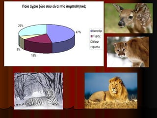 Ποιο άγριο ζώο σου είναι πιο συμπαθητικό;
47%
18%
6%
29%
Λιοντάρι
Τίγρης
ελάφι
puma
 