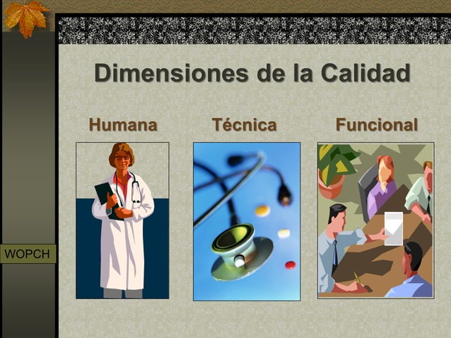 Dimensiones de la calidad en salud. | PDF