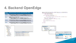4. Backend OpenEdge
 