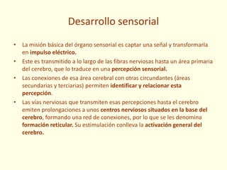 Desarrollo sensorial
• La misión básica del órgano sensorial es captar una señal y transformarla
en impulso eléctrico.
• Este es transmitido a lo largo de las fibras nerviosas hasta un área primaria
del cerebro, que lo traduce en una percepción sensorial.
• Las conexiones de esa área cerebral con otras circundantes (áreas
secundarias y terciarias) permiten identificar y relacionar esta
percepción.
• Las vías nerviosas que transmiten esas percepciones hasta el cerebro
emiten prolongaciones a unos centros nerviosos situados en la base del
cerebro, formando una red de conexiones, por lo que se les denomina
formación reticular. Su estimulación conlleva la activación general del
cerebro.
 