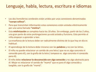 Lenguaje, habla, lectura, escritura e idiomas
• Los dos hemisferios cerebrales están unidos por unas conexiones denominadas
“cuerpo calloso”.
• Para que transmitan información estas conexiones están aisladas eléctricamente
por una vaina llamada “mielina”.
• Esta mielinización se completa hacia los 10 años. Sin embargo, partir de los 2 años,
una gran parte de estas prolongaciones ya está aislada y funciona. Esto permite al
niño empezar a aprender a leer.
• La enseñanza de la lectura debe ser radicalmente distinta de lo que hoy en día es
habitual.
• El aprendizaje de la lectura debe iniciarse con las palabras y no con las letras.
• El niño no puede relacionar un sonido de una letra ( que no es algo concreto ni
conocido para él), con la grafía de la letra ( tampoco es algo concreto ni conocido
para él).
• El niño debe relacionar lo desconocido con algo conocido y no algo abstracto para
él. Mejor es relacionar el sonido de “mamá” que es para él algo conocido y
tangible, con la grafía de “mamá”.
 