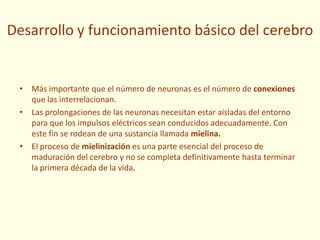Desarrollo y funcionamiento básico del cerebro
• Más importante que el número de neuronas es el número de conexiones
que las interrelacionan.
• Las prolongaciones de las neuronas necesitan estar aisladas del entorno
para que los impulsos eléctricos sean conducidos adecuadamente. Con
este fin se rodean de una sustancia llamada mielina.
• El proceso de mielinización es una parte esencial del proceso de
maduración del cerebro y no se completa definitivamente hasta terminar
la primera década de la vida.
 