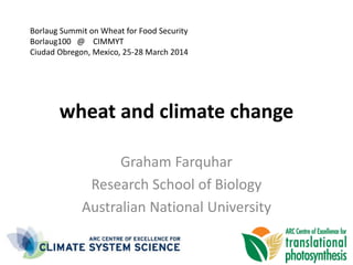wheat and climate change
Graham Farquhar
Research School of Biology
Australian National University
Borlaug Summit on Wheat for Food Security
Borlaug100 @ CIMMYT
Ciudad Obregon, Mexico, 25-28 March 2014
 