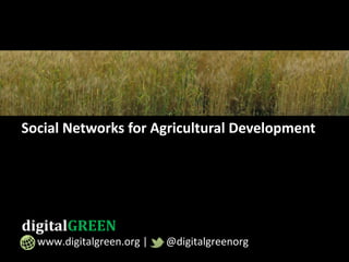 Social Networks for Agricultural Development
digitalGREEN
www.digitalgreen.org | @digitalgreenorg
 