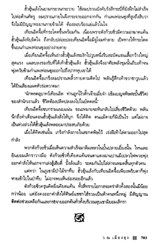 พยัคฆ์น้อยคำรณ 2 จบ