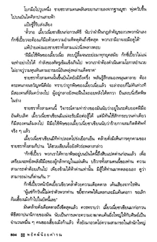 พยัคฆ์น้อยคำรณ 2 จบ