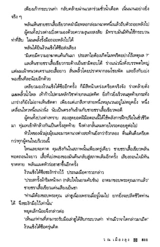พยัคฆ์น้อยคำรณ 2 จบ