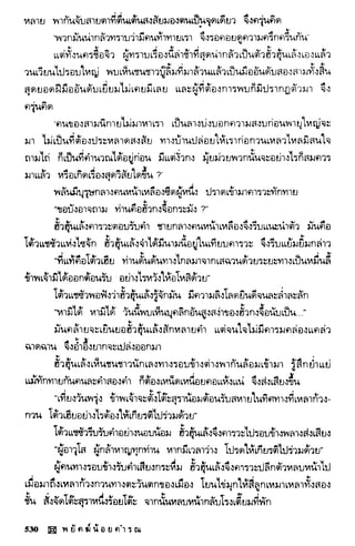 พยัคฆ์น้อยคำรณ 2 จบ