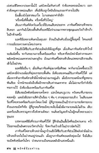 พยัคฆ์น้อยคำรณ 2 จบ