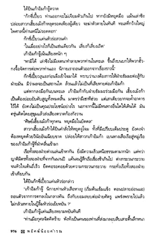 พยัคฆ์น้อยคำรณ 2 จบ