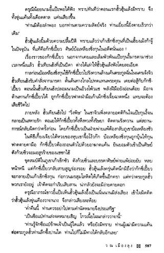 พยัคฆ์น้อยคำรณ 2 จบ