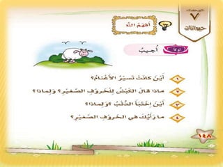 ‫النص الثاني الخروف الأحمق 2