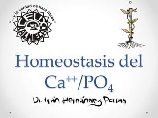 Homeostasis del
Ca++/PO4
 
