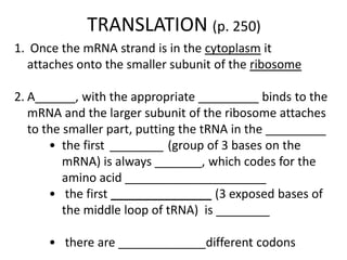 TRANSLATION (p. 250)
1. Once the mRNA strand is in the cytoplasm it
attaches onto the smaller subunit of the ribosome
2. A______, with the appropriate _________ binds to the
mRNA and the larger subunit of the ribosome attaches
to the smaller part, putting the tRNA in the _________
• the first ________ (group of 3 bases on the
mRNA) is always _______, which codes for the
amino acid _____________________
• the first _______________ (3 exposed bases of
the middle loop of tRNA) is ________
• there are _____________different codons
 