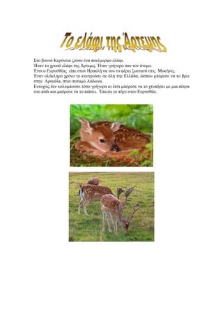 Στο βουνό Κερύνεια ζούσε ένα πανέμορφο ελάφι.
Ήταν το χρυσό ελάφι της Άρτεμις. Ήταν γρήγορο σαν τον άνεμο.
Έτσι ο Ευρυσθέας είπε στον Ηρακλή να του το φέρει ζωντανό στις Μυκήνες.
Έναν ολόκληρο χρόνο το κυνηγούσε σε όλη την Ελλάδα, ώσπου μπόρεσε να το βρει
στην Αρκαδία, στον ποταμό Λάδωνα.
Ευτυχώς δεν κολυμπούσε τόσο γρήγορα κι έτσι μπόρεσε να το χτυπήσει με μια πέτρα
στο πόδι και μπόρεσε να το πιάσει. Έπειτα το πήγε στον Ευρυσθέα.
 