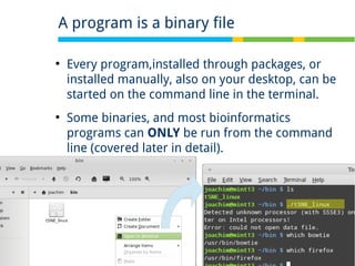 24 of 32
●
Every program,installed through packages, or
installed manually, also on your desktop, can be
started on the command line in the terminal.
●
Some binaries, and most bioinformatics
programs can ONLY be run from the command
line (covered later in detail).
A program is a binary file
 