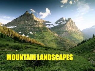 Different landscapes