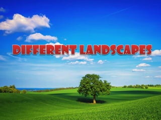 Different landscapes