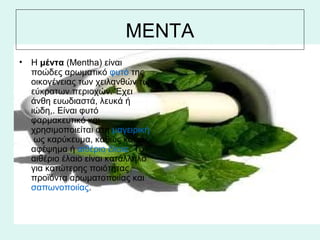 ΜΕΝΤΑ
• H μέντα (Mentha) είναι
ποώδες αρωματικό φυτό της
οικογένειας των χειλανθών των
εύκρατων περιοχών. Έχει
άνθη ευωδιαστά, λευκά ή
ιώδη,. Είναι φυτό
φαρμακευτικό και
χρησιμοποιείται στη μαγειρική
ως καρύκευμα, καθώς και ως
αφέψημα ή αιθέριο έλαιο. Το
αιθέριο έλαιο είναι κατάλληλο
για κατώτερης ποιότητας
προϊόντα αρωματοποιίας και
σαπωνοποιίας.
 