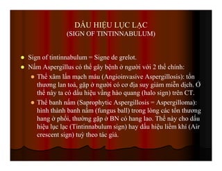 DẤU HIỆU LỤC LẠC
(SIGN OF TINTINNABULUM)
Sign of tintinnabulum = Signe de grelot.
Nấm Aspergillus có thể gây bệnh ở người với 2 thể chính:
Thể xâm lấn mạch máu (Angioinvasive Aspergillosis): tổn
thương lan toả, gặp ở người có cơ địa suy giảm miễn dịch. Ở
thể này ta có dấu hiệu vầng hào quang (halo sign) trên CT.
Thể banh nấm (Saprophytic Aspergillosis = Aspergilloma):
hình thành banh nấm (fungus ball) trong lòng các tổn thương
hang ở phổi, thường gặp ở BN có hang lao. Thể này cho dấu
hiệu lục lạc (Tintinnabulum sign) hay dấu hiệu liềm khí (Air
crescent sign) tuỳ theo tác giả.
 